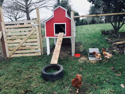 06A53C64-A568-4FED-A03B-8B69D9194BFB.jpeg 06A53C64-A568-4FED-A03B-8B69D9194BFB.jpeg