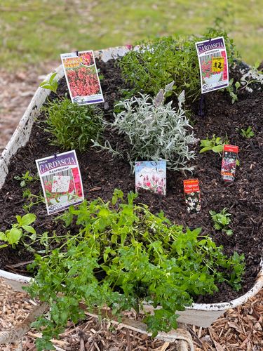 9C287B34-DDB7-47E1-9F10-C98B717C4587.jpeg 9C287B34-DDB7-47E1-9F10-C98B717C4587.jpeg