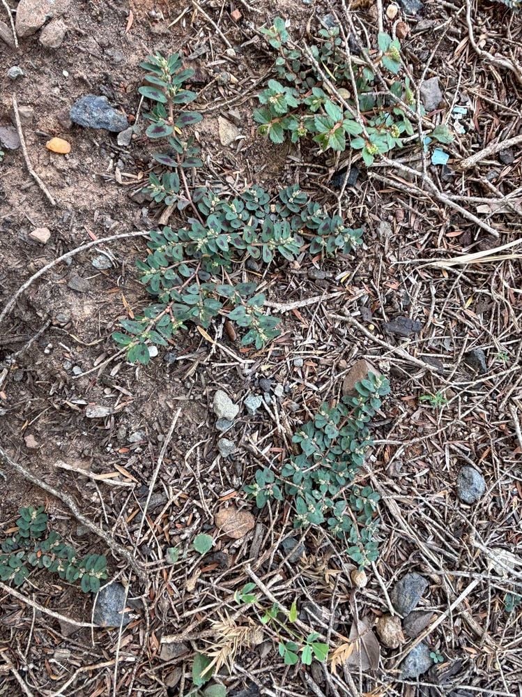 IMG_5832.jpg IMG_5832.jpg