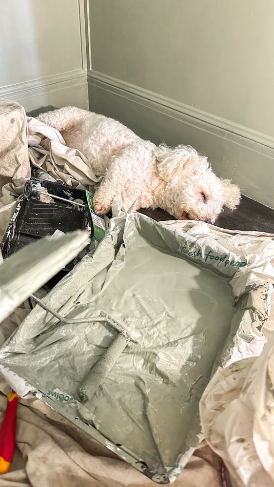 IMG_4017_jpg.JPG IMG_4017_jpg.JPG