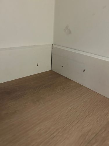 IMG_6972.jpeg IMG_6972.jpeg