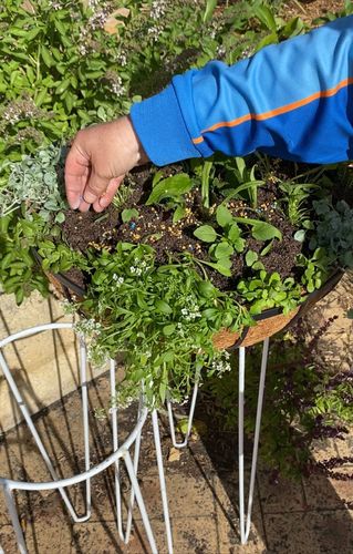 E529104E-7E8A-4AD8-954E-9ECC43375BC2.jpeg E529104E-7E8A-4AD8-954E-9ECC43375BC2.jpeg