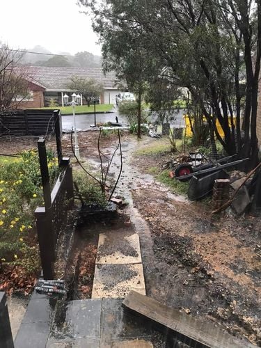 51 02-07-2022.jpg 51 02-07-2022.jpg