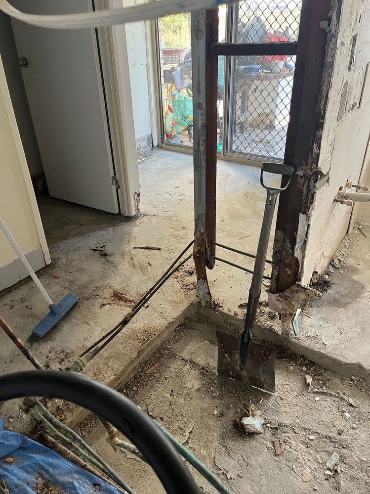 IMG_1152.jpg IMG_1152.jpg