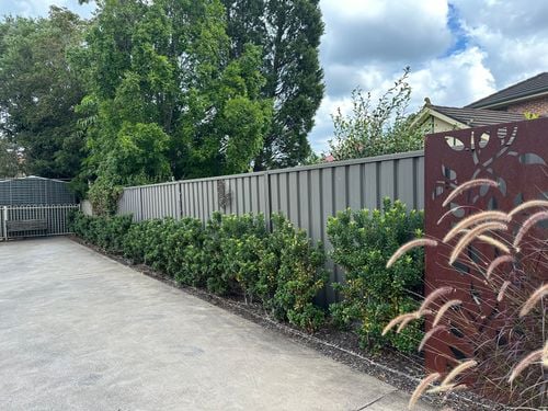 IMG_8631.jpeg IMG_8631.jpeg