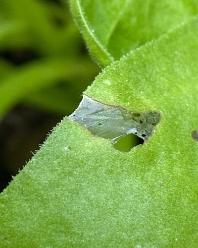 D2414DDA-CFD7-4988-BD86-9A22624D3A79.jpeg D2414DDA-CFD7-4988-BD86-9A22624D3A79.jpeg