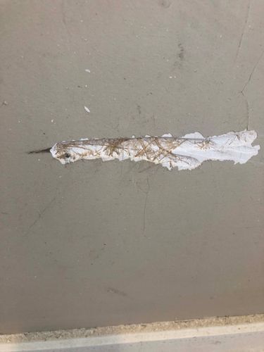 IMG_2975.jpeg IMG_2975.jpeg