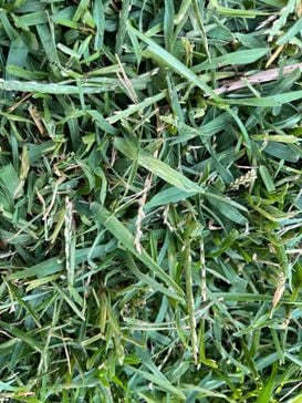 IMG_2398.JPEG IMG_2398.JPEG