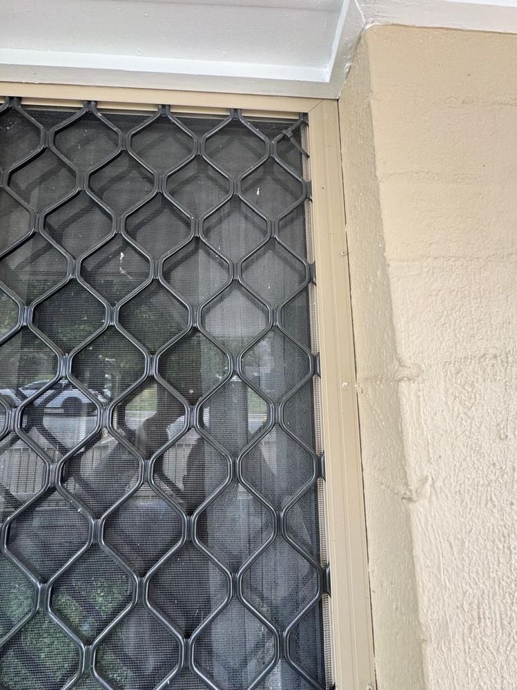 window10.jpeg window10.jpeg