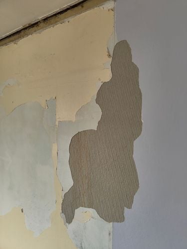 1000021441.jpg 1000021441.jpg