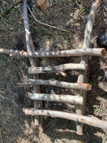 D45254A6-0CA6-46BC-8B7D-728944AD38D1.jpeg D45254A6-0CA6-46BC-8B7D-728944AD38D1.jpeg