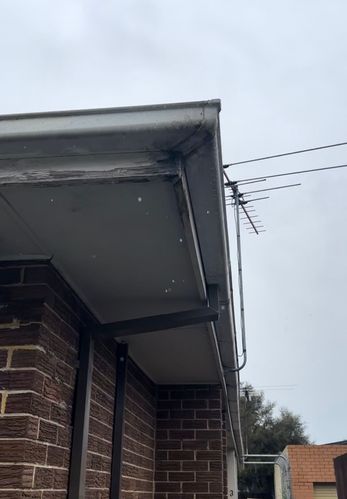 IMG_6399.jpeg IMG_6399.jpeg