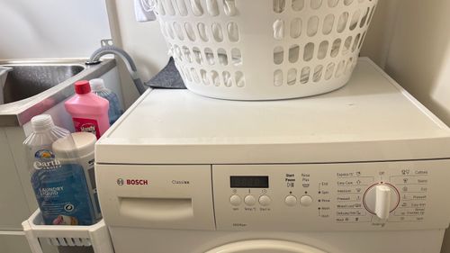 IMG_6141.jpeg IMG_6141.jpeg