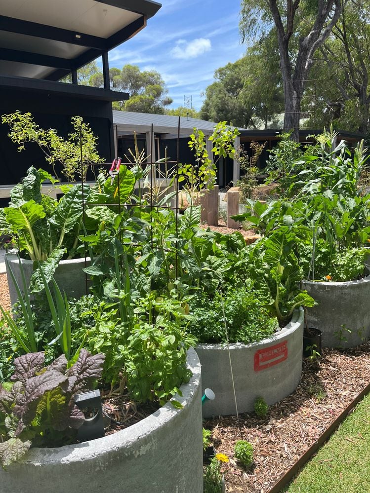 IMG_2399.jpeg IMG_2399.jpeg