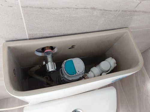 20220225_181151.jpg 20220225_181151.jpg