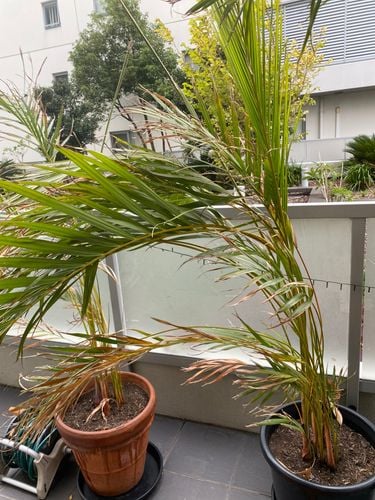 E44114F4-E03D-4662-9868-8AF6AF929440.jpeg E44114F4-E03D-4662-9868-8AF6AF929440.jpeg