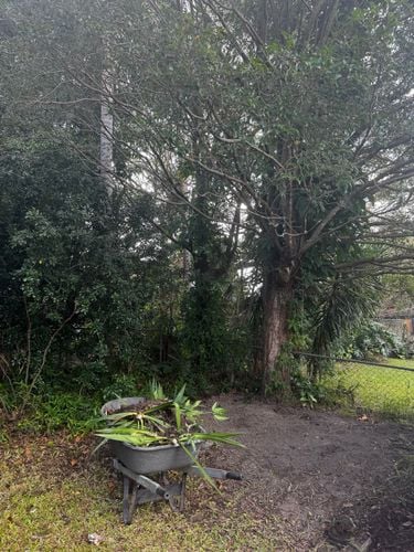 IMG_6792.jpeg IMG_6792.jpeg