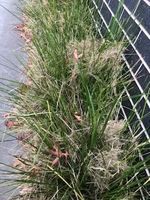 IMG_1430.jpg IMG_1430.jpg