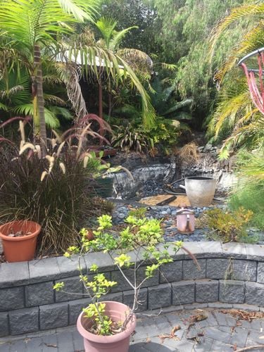 47EFFF58-2CD9-42B2-B4E7-2EF9551725F7.jpeg 47EFFF58-2CD9-42B2-B4E7-2EF9551725F7.jpeg