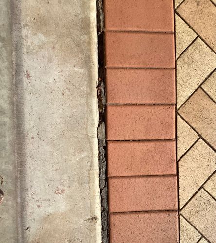 IMG_0062.jpeg IMG_0062.jpeg