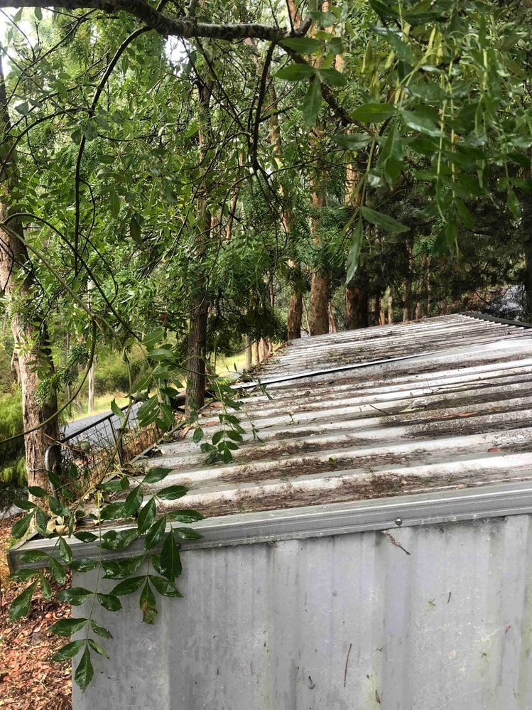 IMG_8491.jpeg IMG_8491.jpeg