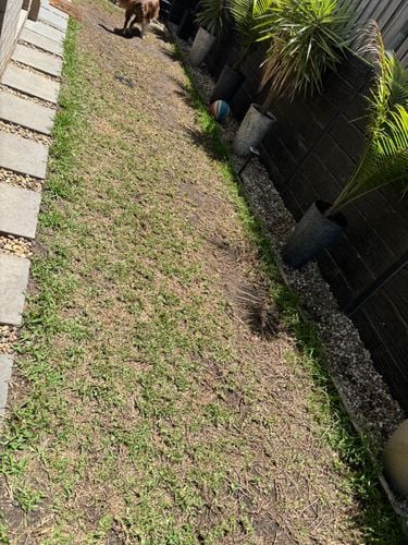 IMG_3104.jpeg IMG_3104.jpeg