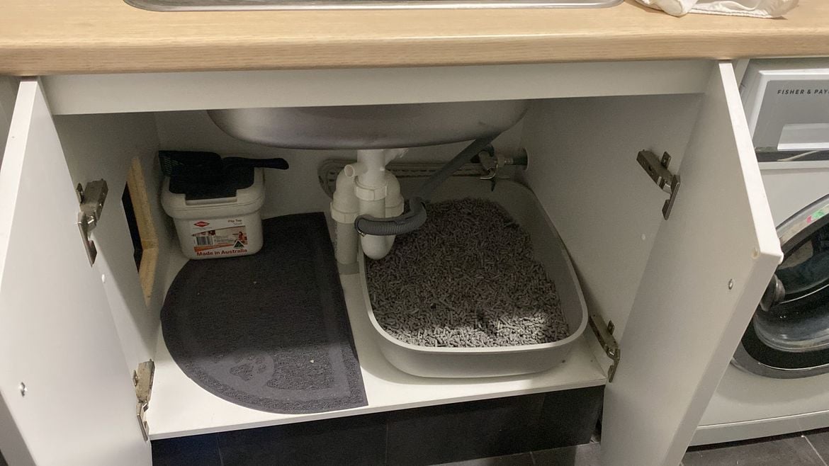 64D1FB0A-5D0F-475B-86C3-FFBA8470AA7A.jpeg 64D1FB0A-5D0F-475B-86C3-FFBA8470AA7A.jpeg