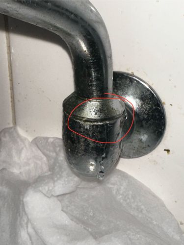 IMG_5047.jpeg IMG_5047.jpeg