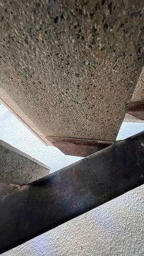 IMG_3446.jpeg IMG_3446.jpeg