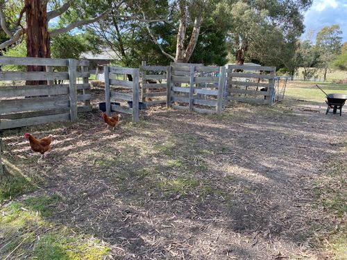 IMG_8508.jpeg IMG_8508.jpeg