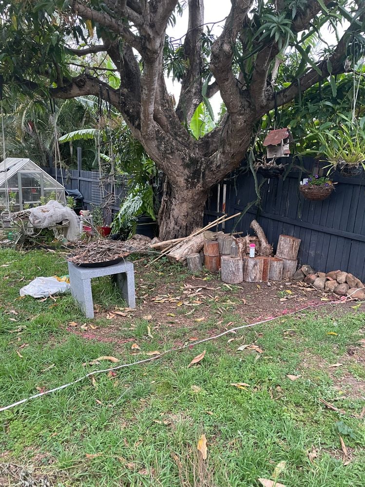 IMG_4357.JPG IMG_4357.JPG