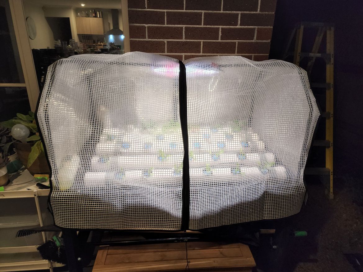 20220728_183501.jpg 20220728_183501.jpg