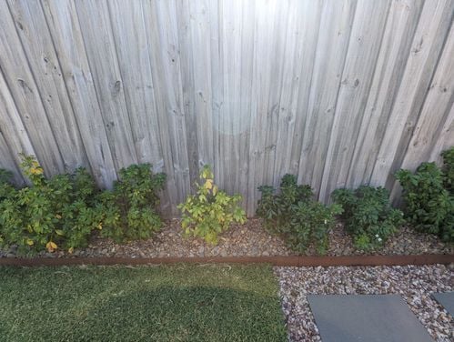 PXL_20220222_224736511.jpg PXL_20220222_224736511.jpg