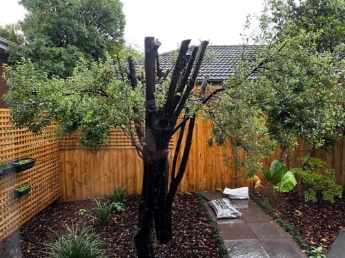 IMG_1455.jpeg IMG_1455.jpeg