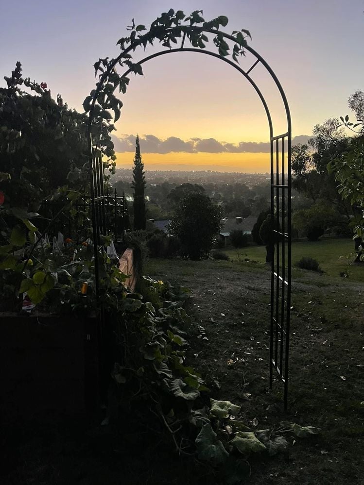 B6C3D191-611C-49D8-98F2-644543CFA859.jpeg B6C3D191-611C-49D8-98F2-644543CFA859.jpeg