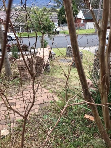 05 13-08-2023.jpg 05 13-08-2023.jpg