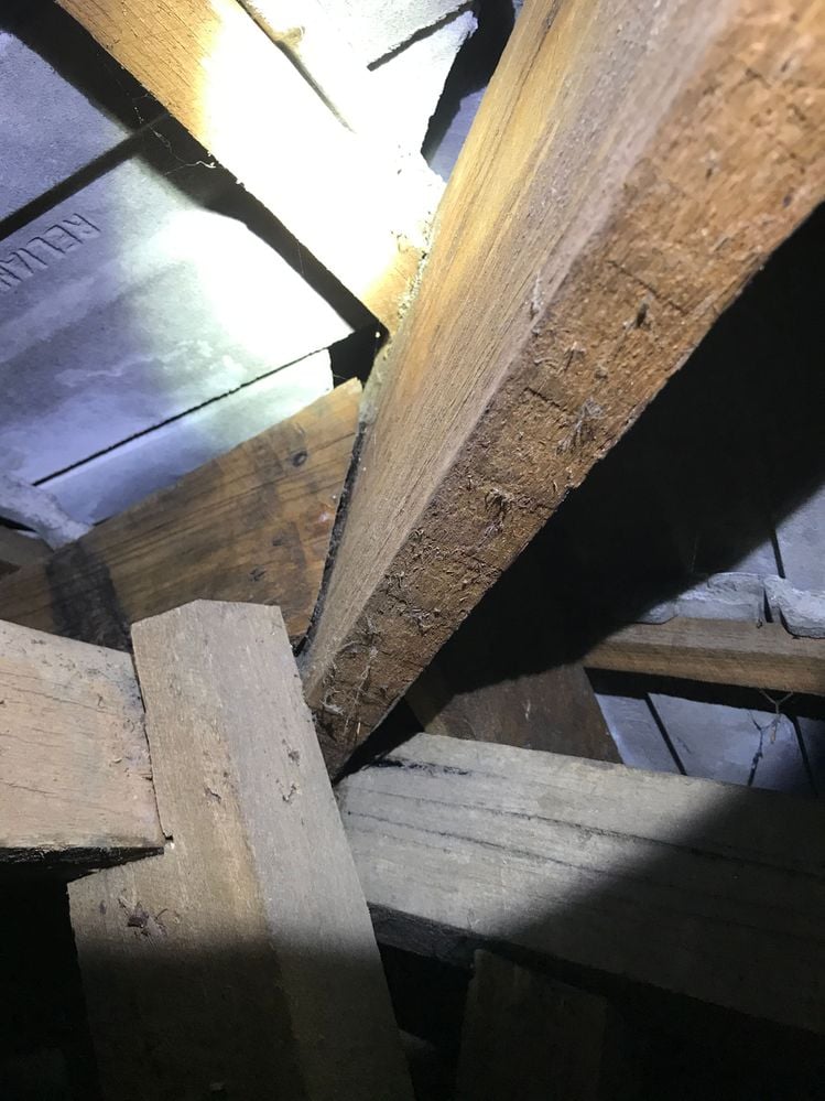 IMG_6002.JPG IMG_6002.JPG