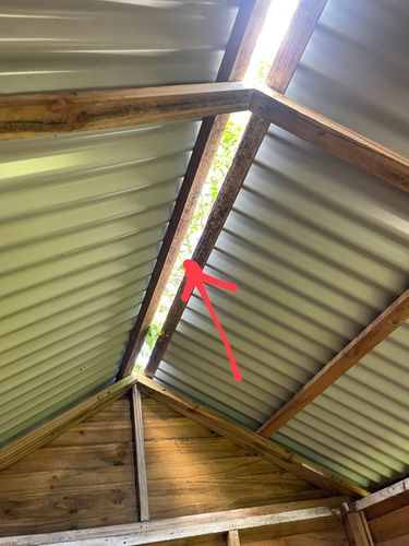 1000019559.jpg 1000019559.jpg