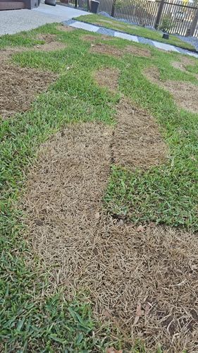 2bde376098524438779f970f7abf69d9.jpeg 2bde376098524438779f970f7abf69d9.jpeg