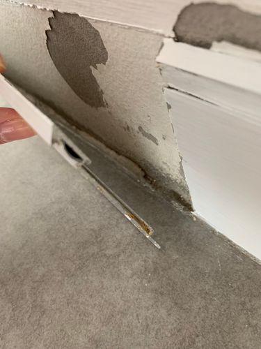 IMG_0624.jpeg IMG_0624.jpeg