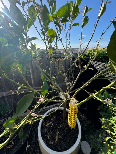 IMG_9622.jpeg IMG_9622.jpeg