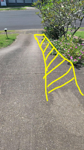 ivanptr_1-1644557019130.png ivanptr_1-1644557019130.png