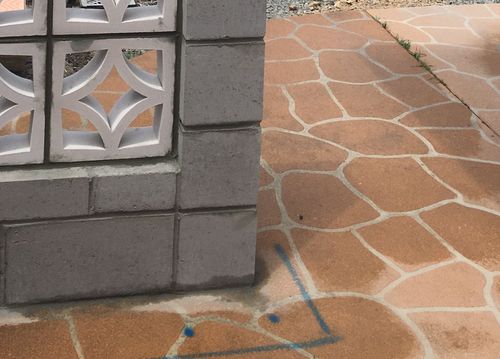 CAF7DD11-D724-41C1-B4E4-3ADED54560C3.jpeg CAF7DD11-D724-41C1-B4E4-3ADED54560C3.jpeg