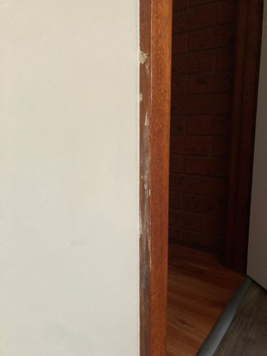 IMG_7511.jpeg IMG_7511.jpeg