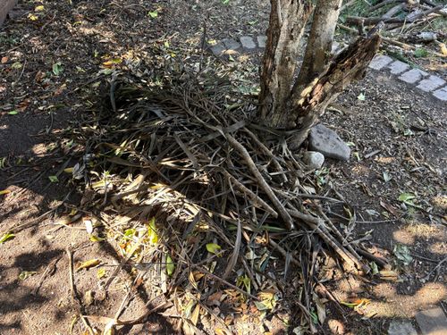 IMG_1957.jpeg IMG_1957.jpeg