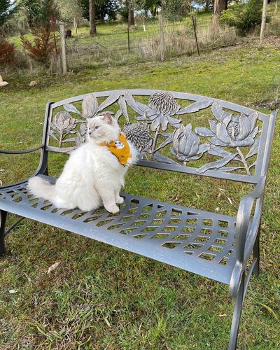 FA32D6BA-D26A-4EE3-BE4E-693266705219.jpeg FA32D6BA-D26A-4EE3-BE4E-693266705219.jpeg