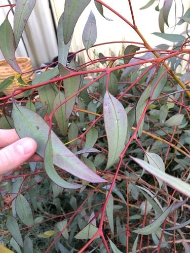 IMG_1070.jpeg IMG_1070.jpeg