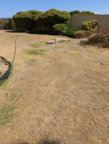 PXL_20230222_022117525.jpg PXL_20230222_022117525.jpg