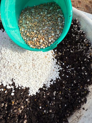 IMG_1236.jpeg IMG_1236.jpeg