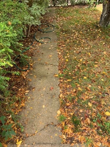 30D59C74-8E94-4D0E-B558-4F55F397F653.jpeg 30D59C74-8E94-4D0E-B558-4F55F397F653.jpeg